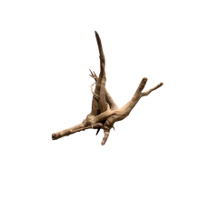 Karis Aqua Scape Mangrove-Small, Medium & Large 1 pc