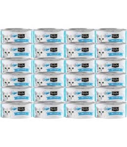 Kit Cat Tuna & Scallop 80g - Pack of 24