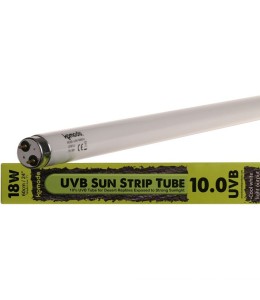 Komodo Fluorescent T8 Bulb UVB 10% 18W