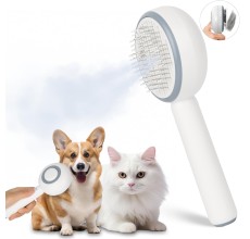 Lolipop Shaped Steam Brush