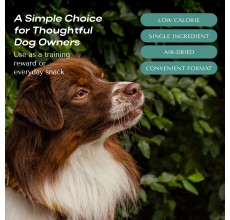 O2Pets Dog and Puppy Lamb Chips Hypoallergenic Treats – 100% Lamb Single Ingredient Snack – Healthy Support for Sensitive Digestion, Food Sensitivities & Skin Care, Low Fat Dog Treat 70gt