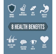 Orijen Guardian 8 Dry Cat Food - 340G