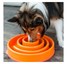 Outward Hound Fun Feeder Swirl Org LG