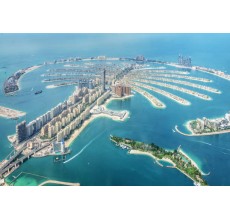 Palm View Single Entry