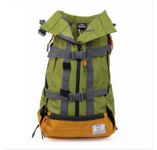 Urban 3 Dual Use Dog Carrier & Traditional Backpack - Green - L