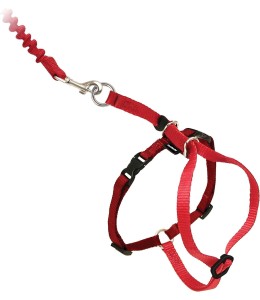 Pet Safe Easy Walk Cat Harness & Lead (Red, Medium) Cat Harnesses