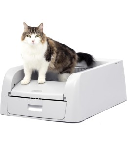 Pet Safe Scoopfree Clumping Litter Box Automatic Cat Litter Box