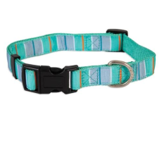 PETMATE ASPEN PET DOG COLLAR 3/4incX14-20inc TEAL STRIPE
