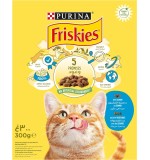 Purina Friskies Cat Dry Food Salmon & Vegetable 300g