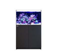 Red Sea Peninsula 350 G3+ Black