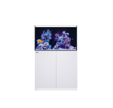 Red Sea Peninsula 350 G3+ White