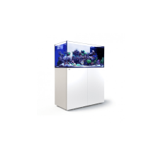 Red Sea Peninsula 500 G3+ White