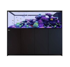 Red Sea Peninsula S-950 G3+ Black