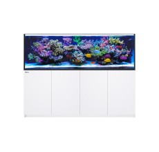 Red Sea Peninsula S-950 G3+ White