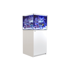 Red Sea Reefer 170 G3+ White