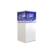 Red Sea Reefer 200 G3 White