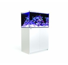 Red Sea Reefer 250 G3+ White