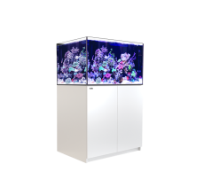 Red Sea Reefer 300 G3+ Black