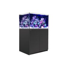 Red Sea Reefer 300 G3+ White