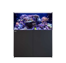 Red Sea Reefer 425 G3+ Black