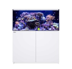 Red Sea Reefer 425 G3+ White