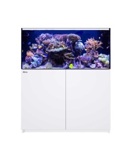 Red Sea Reefer 425 G2+ White