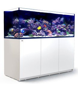 Red Sea Reefer 525 G2+ White