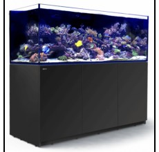 Red Sea Reefer 750 G3 Black