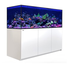 Red Sea Reefer 750 G3 White