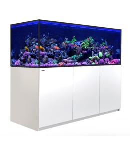 Red Sea Reefer 750 G2 White