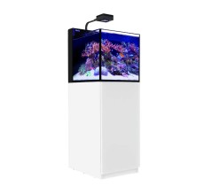 Red Sea Reefer Nano White
