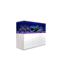 Red Sea Reefer S-850 G2+ White