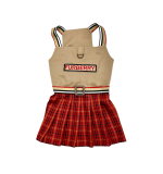 Furberry Dress (Extra Large)