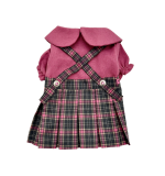 Back To School Dress (Medium)