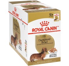 Royal Canin Breed Health Nutrition Dachshund Adult (WET FOOD - Pouches) Pack of 12