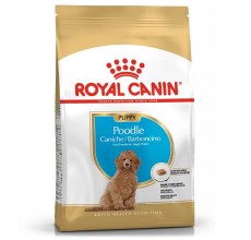 Royal Canin Breed Health Nutrition Poodle Puppy 3 Kg