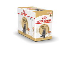 Royal Canin Feline Breed Nutrition British Shorthair (WET FOOD - Pouches) Pack of 12