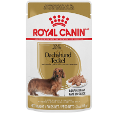 Royal Canin Feline Breed Nutrition British Shorthair Adult 10 Kg