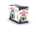 Royal Canin Feline Care Nutrition Digest Sensitive Gravy (WET FOOD - Pouches) Pack of 12