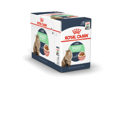 Royal Canin Feline Care Nutrition Digest Sensitive Gravy (WET FOOD - Pouches) Pack of 12