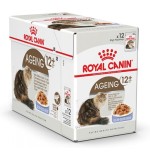 Royal Canin Feline Health Nutrition Ageing +12 Jelly (WET FOOD - Pouches) Pack of 12