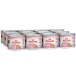 Royal Canin Feline Health Nutrition Mother & Babycat Mousse (WET FOOD - Cans) 195g Pack of 12