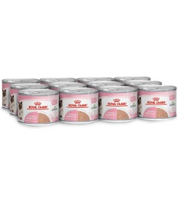 Royal Canin Feline Health Nutrition Mother & Babycat Mousse (WET FOOD - Cans) 195g Pack of 12