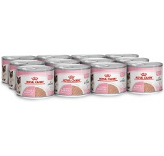 Royal Canin Feline Health Nutrition Mother & Babycat Mousse (WET FOOD - Cans) 195g Pack of 12