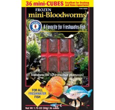 San Fransisco Bay Brand Bloodworms For Mini Cube 50g Frozen Fish Food