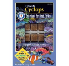 San Fransisco Bay Brand Cyclops Frozen Cube 100g Frozen Fish Food