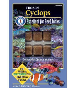 San Fransisco Bay Brand Cyclops Frozen Cube 100g