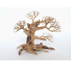 SV Aquarium Deco Bonsai Wood - Medium Large / 35x25x18cm