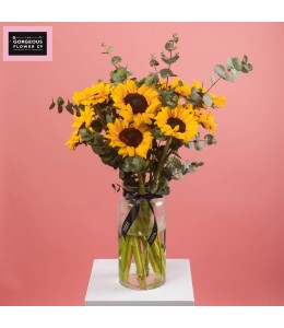 Gold Coast in Vase