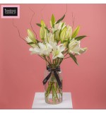 White Coast in Vase